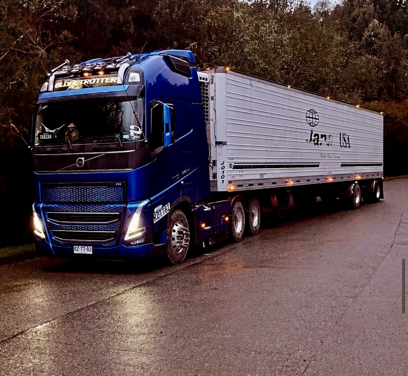 Flota de camiones Transportes Winkler