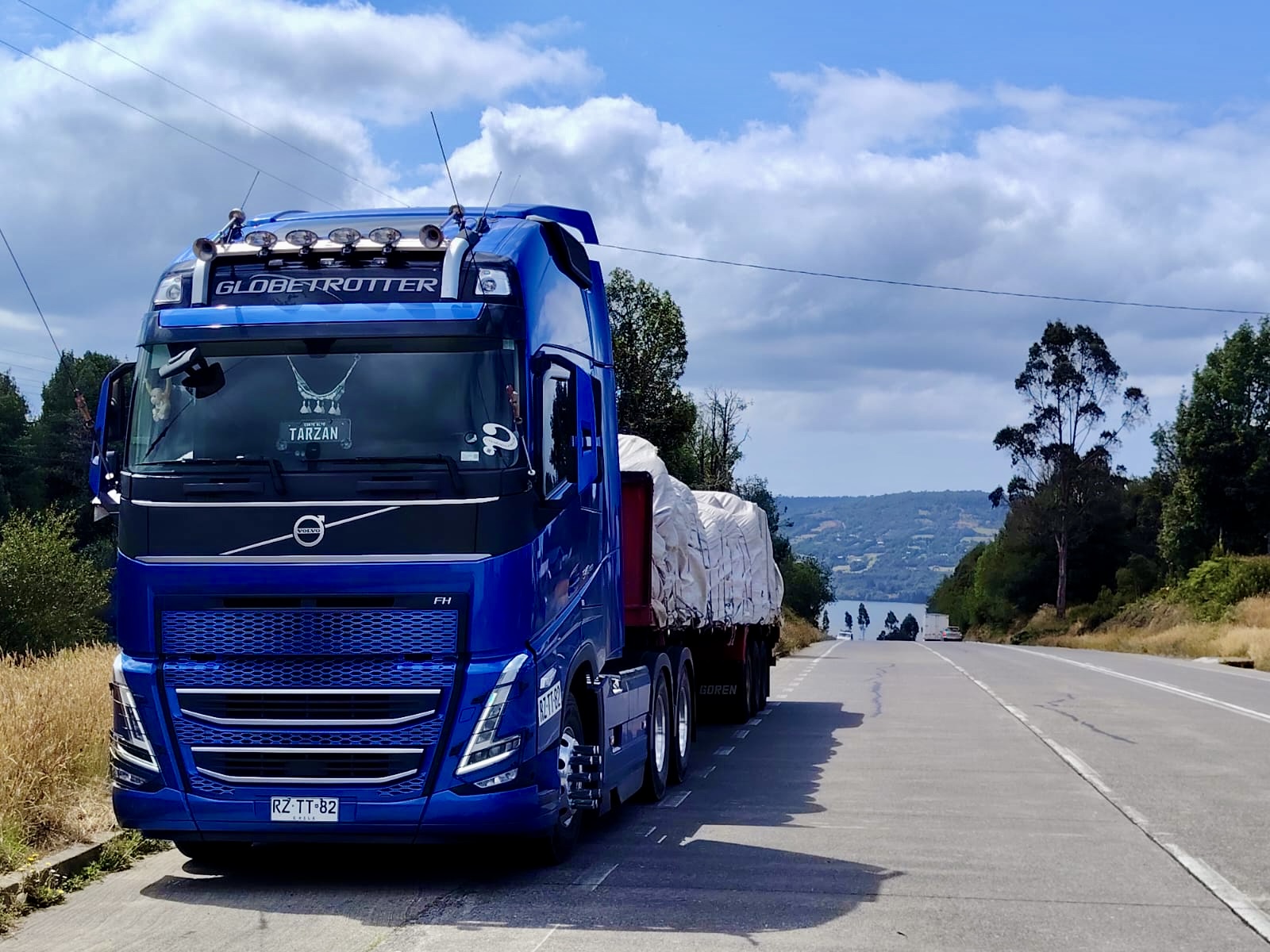 Flota de camiones Transportes Winkler